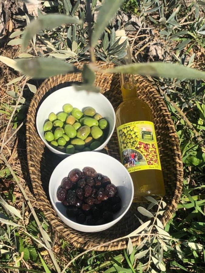 La Parenthese Saint Donat Ξενοδοχείο Αιξ-αν-Προβάνς Εξωτερικό φωτογραφία